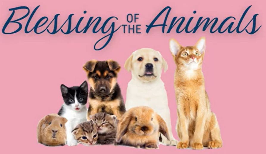 Blessing of the Animals