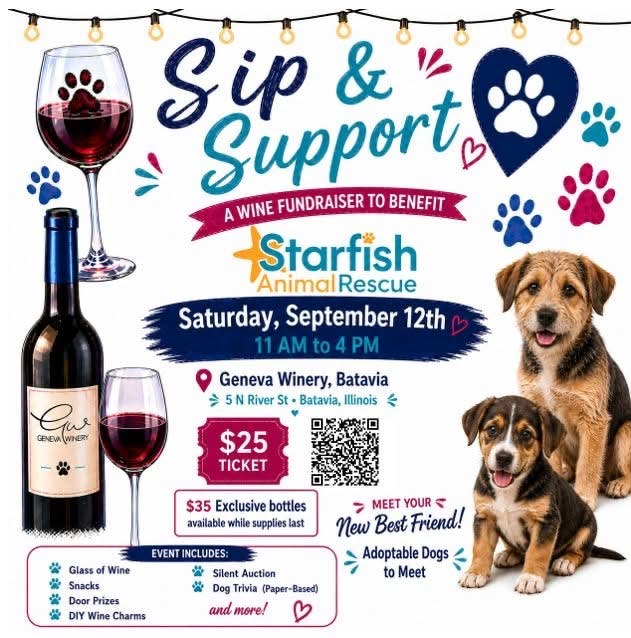 Sip & Support Starfish Animal Rescue