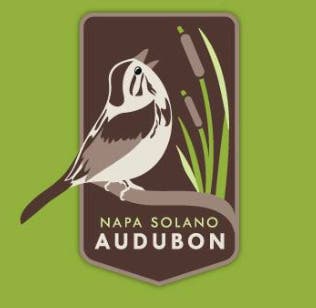 Beginners' Bird Walk