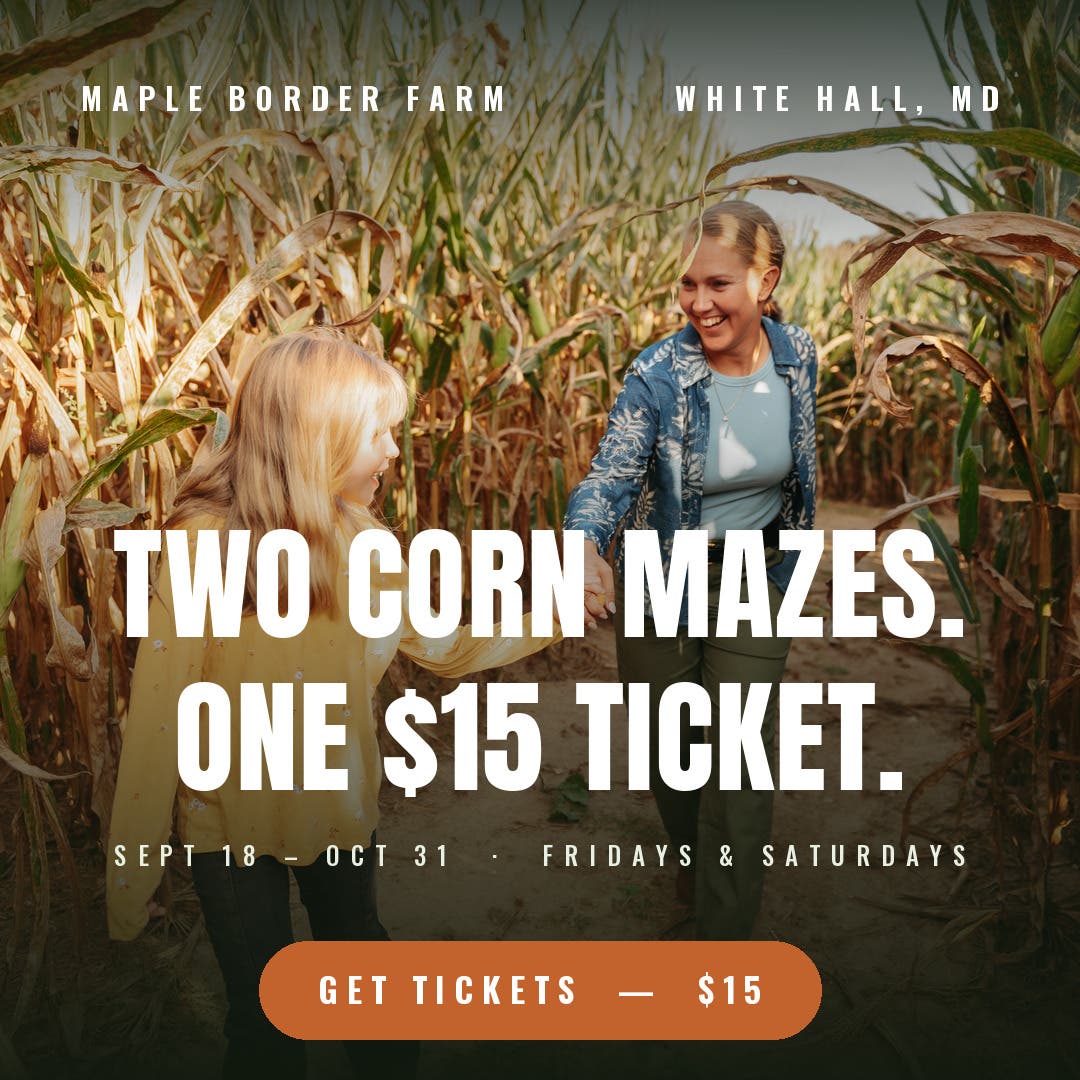 Maple Border Farm Corn Maze — Opening Weekend