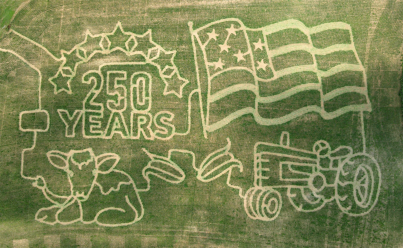 Glow In The Dark Nights At The Corn Maze