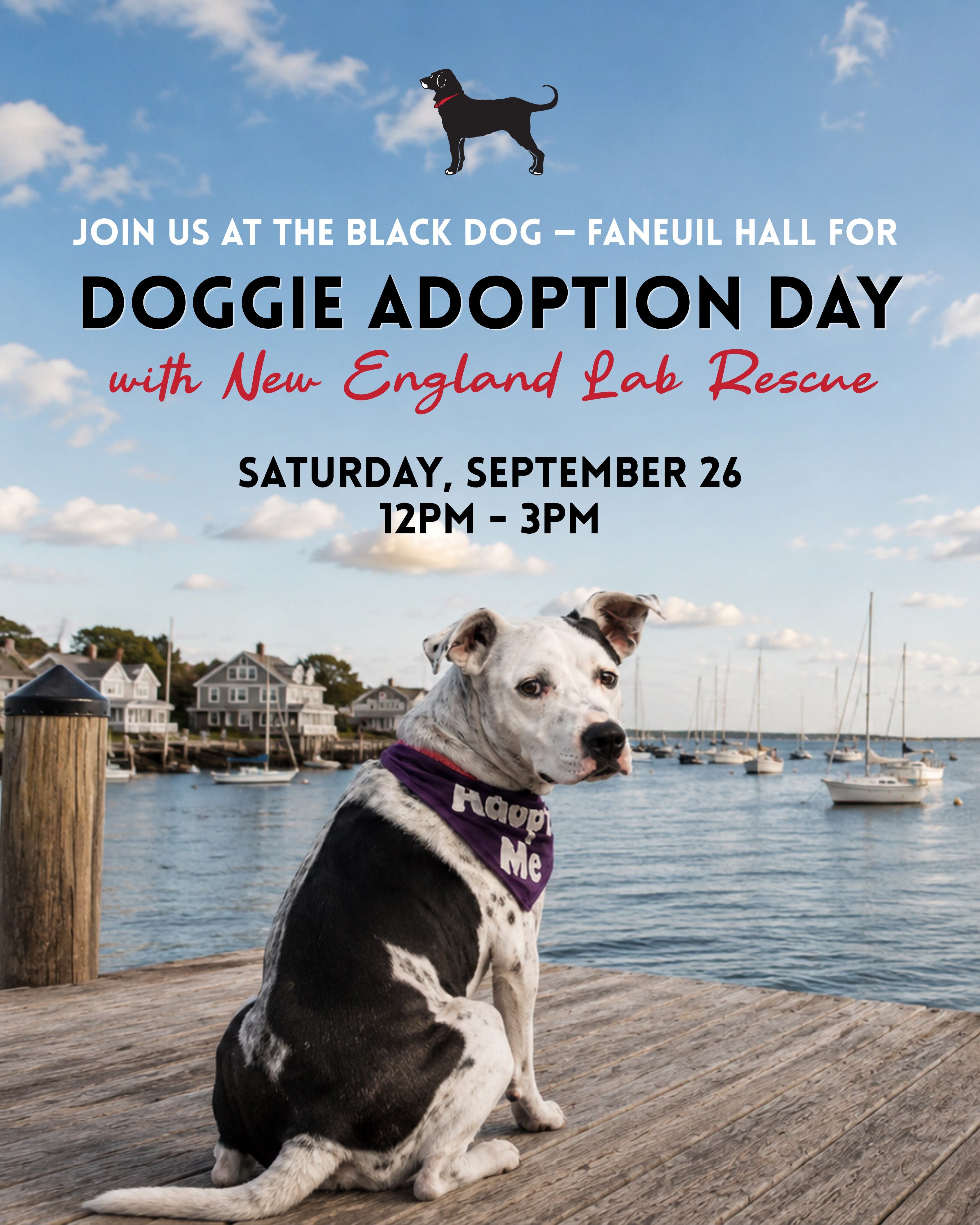 Doggie Adoption Day at The Black Dog - Faneuil Hall
