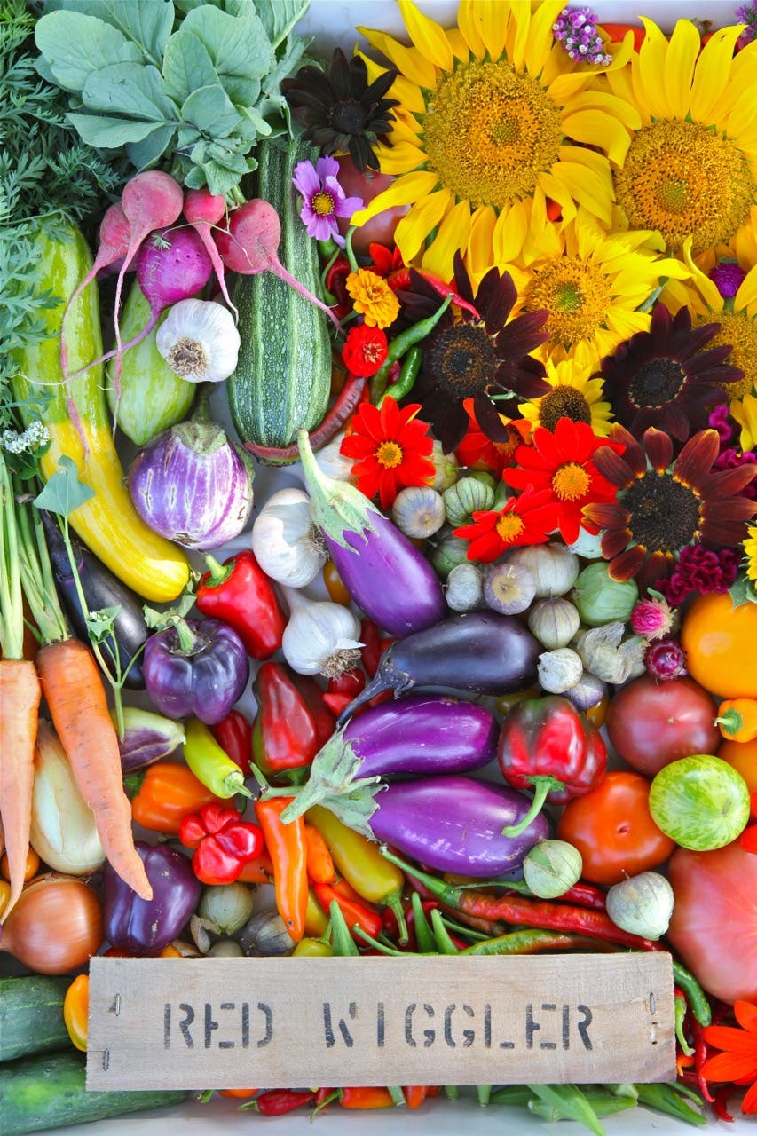 Fall CSA Share at Red Wiggler