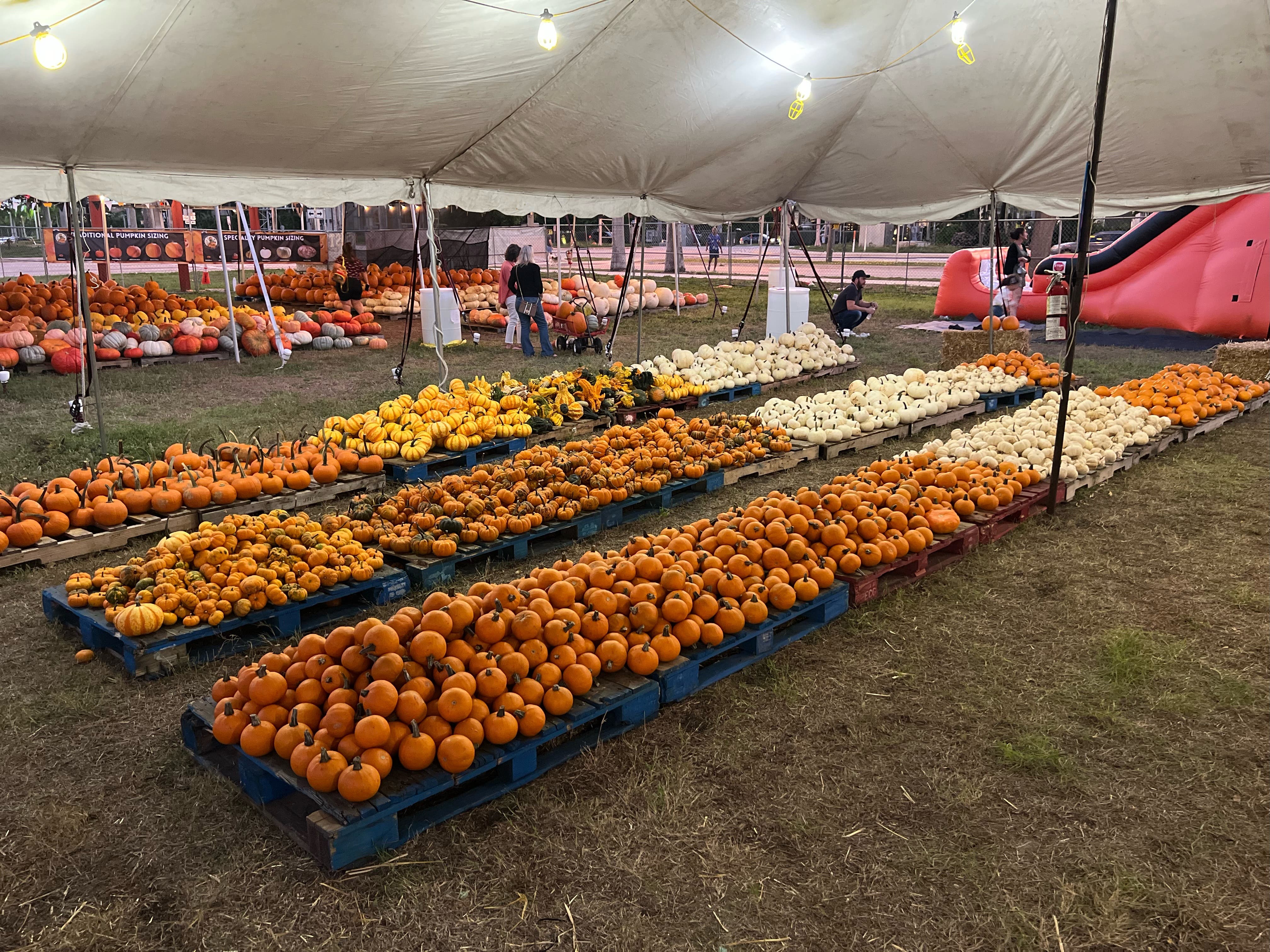 Mr. Jack O’ Lanterns Pumpkin Patch – West Palm Beach