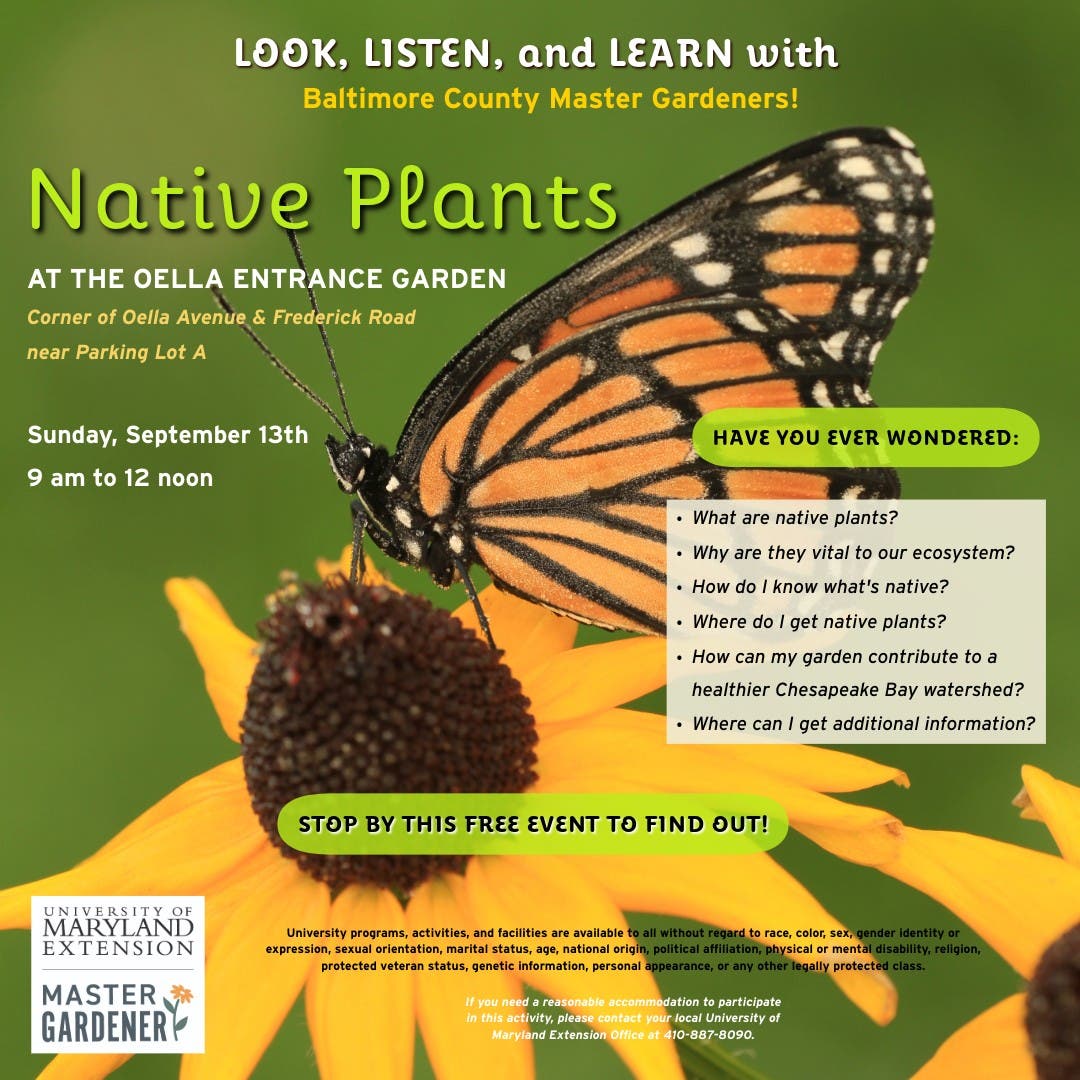 Native Plant education event