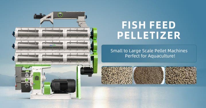 Efficient Fish Feed Production for Modern Aquaculture