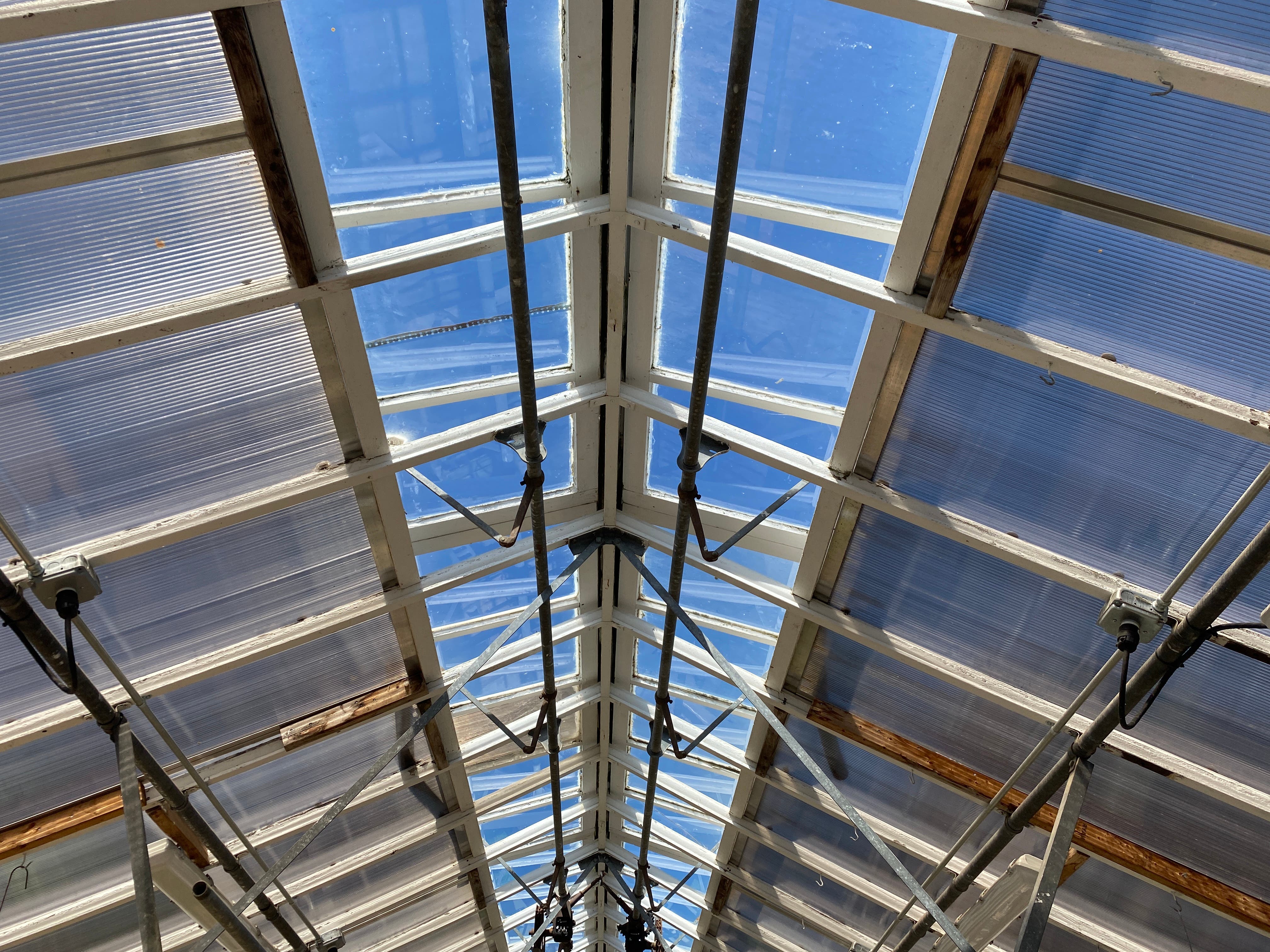 Growing America: Art in a Hothouse