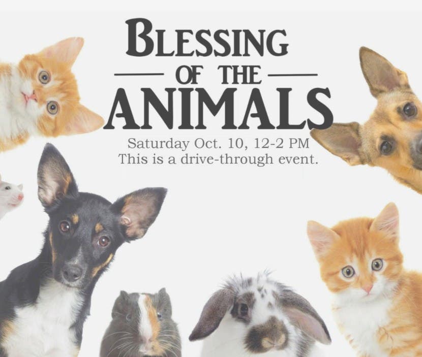 Drive Thru Pet Blessing 12 pm-2pm