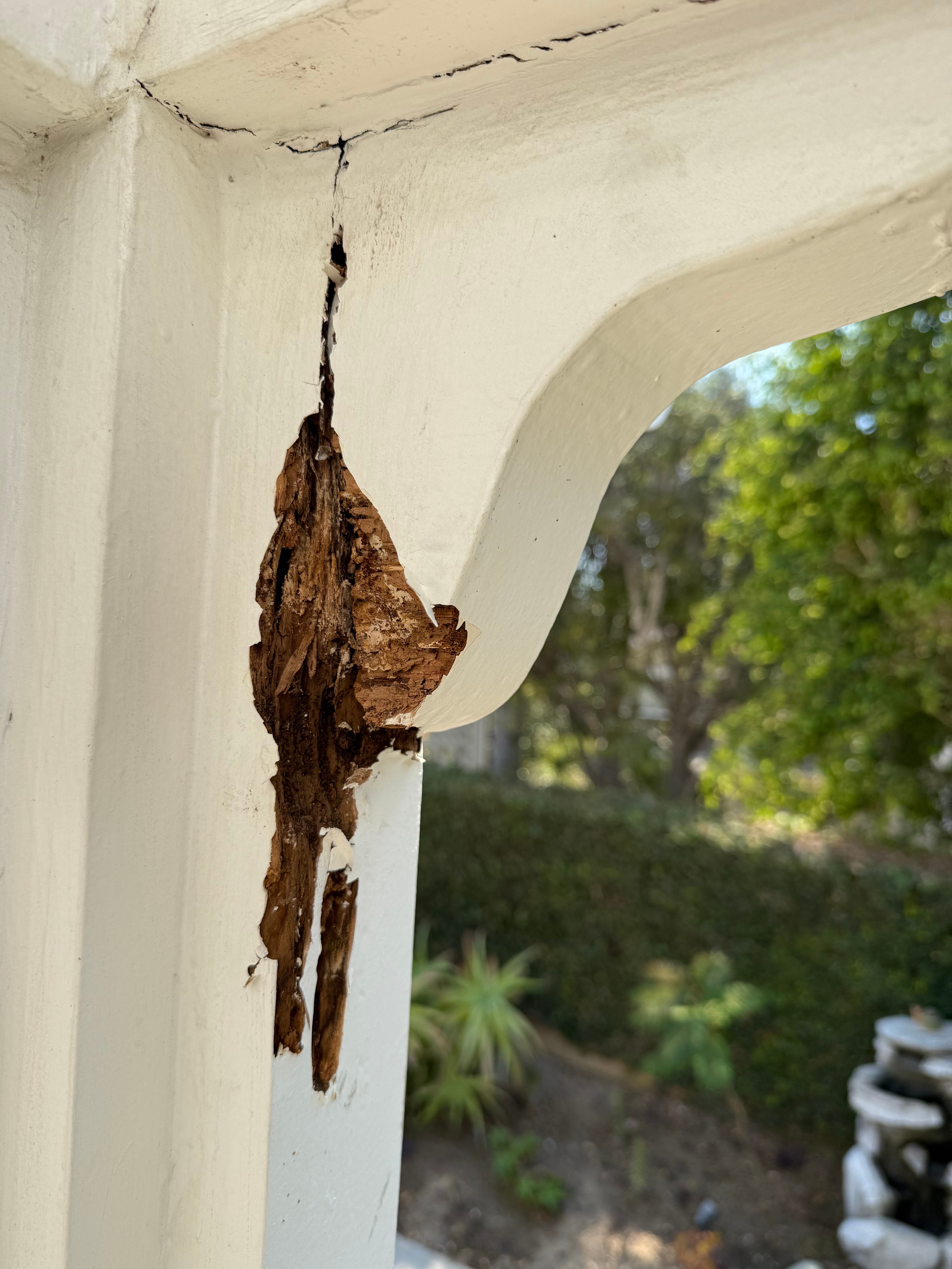 Wood repair