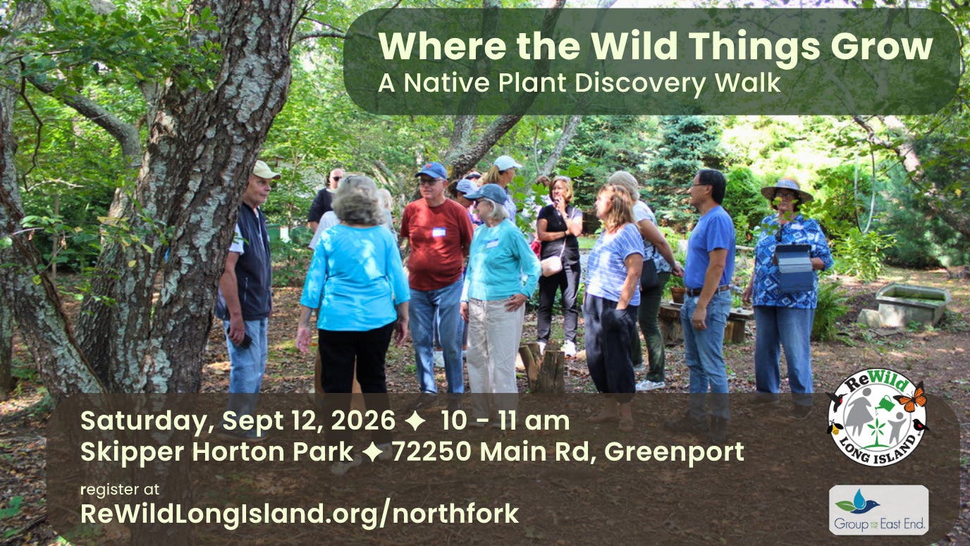 Where the Wild Things Grow: A Native Plant Discovery Walk.