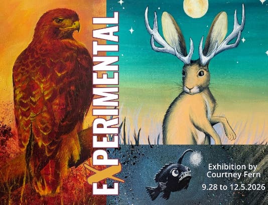 EXPERIMENTAL: Exhibition by Courtney Fern