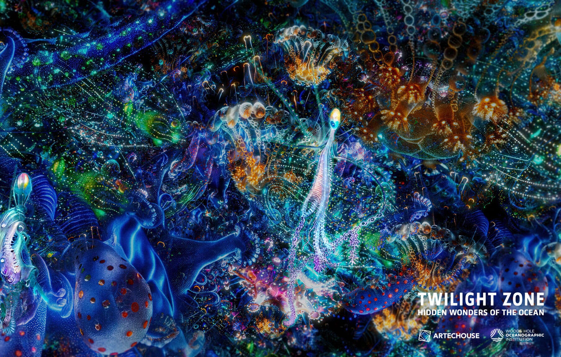 Twilight Zone: Hidden Wonders of the Ocean at ARTECHOUSE NYC; 9/19-11/16/26
