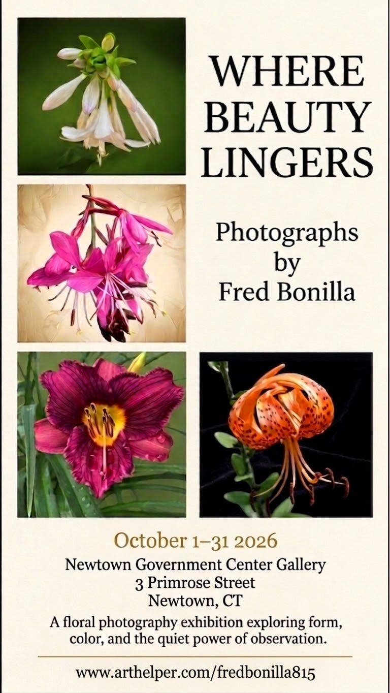 Where Beauty Lingers