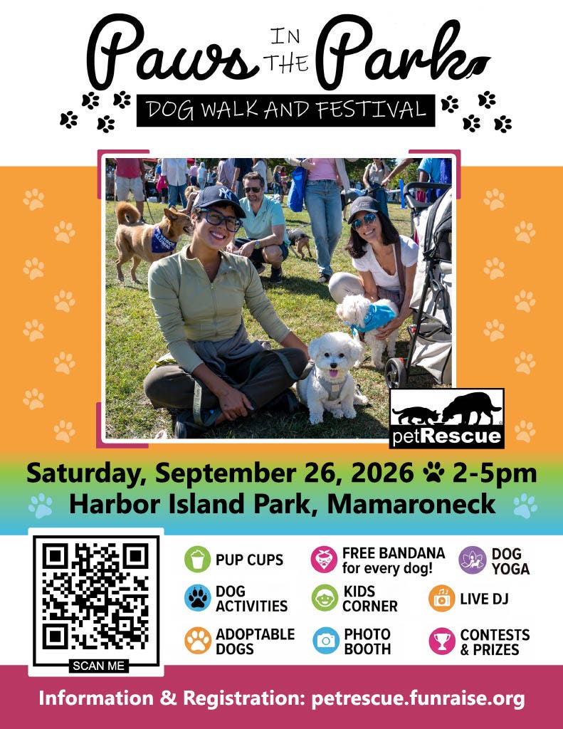 Paws In The Park: Dog Walk And Festival