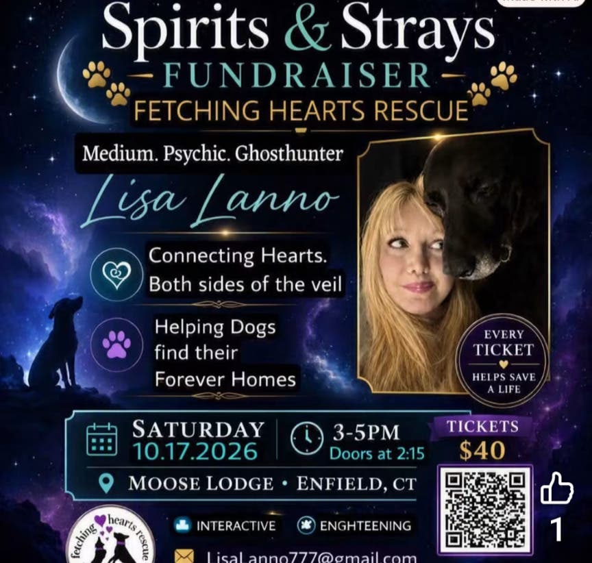 Spirits & Strays Fundraiser