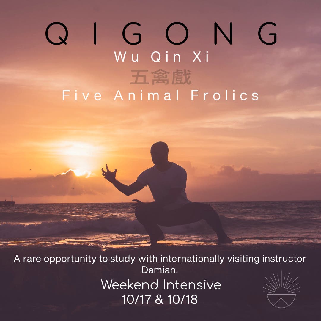 QIGONG Immersion Weekend
