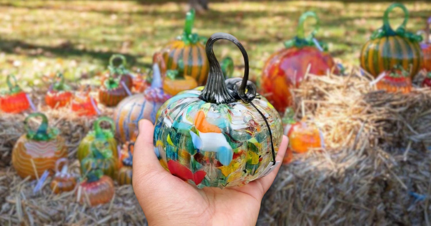 Long Island Glass Pumpkin Patch