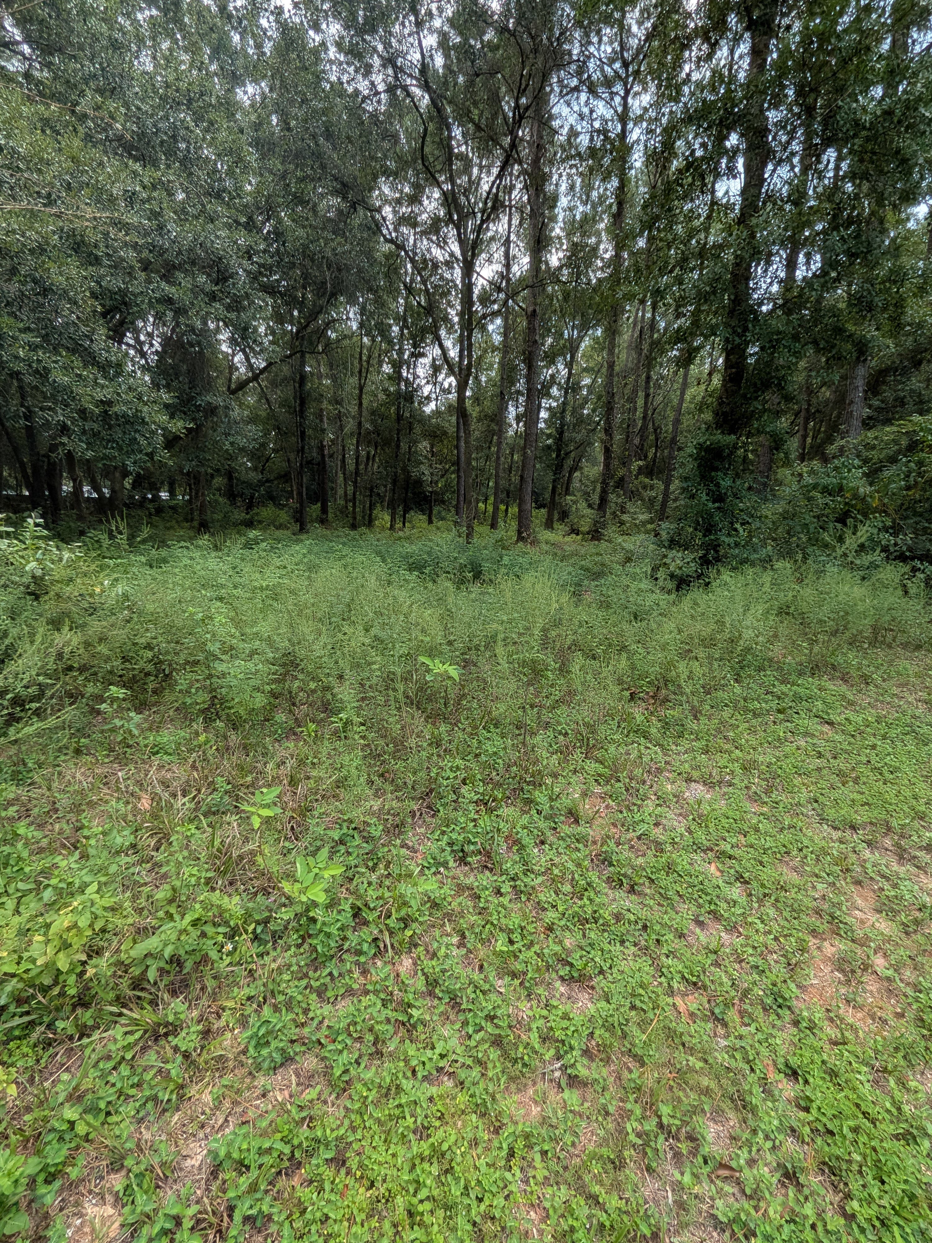 Land for sale 2.48 acres