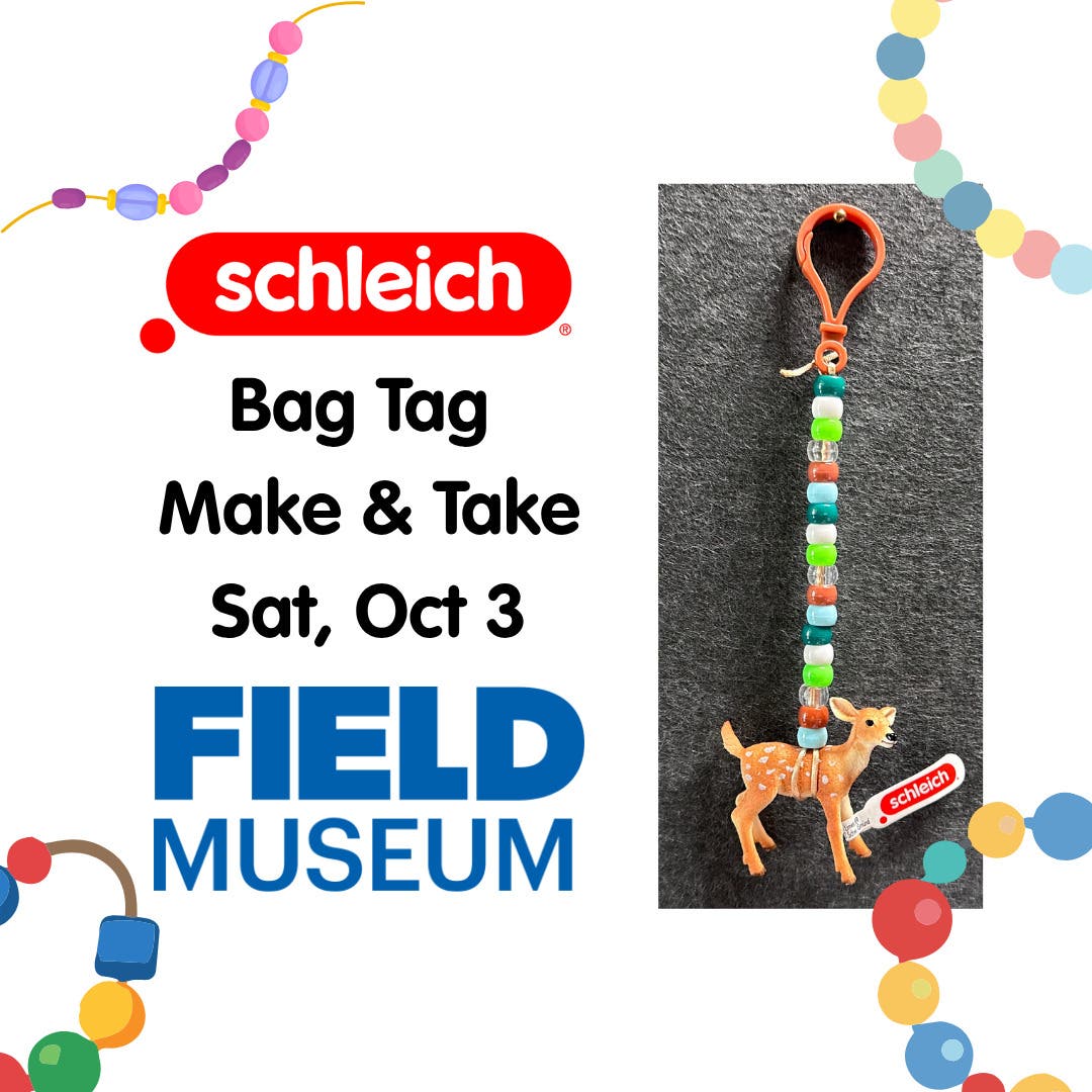 schleich® Saturday at The Field Museum