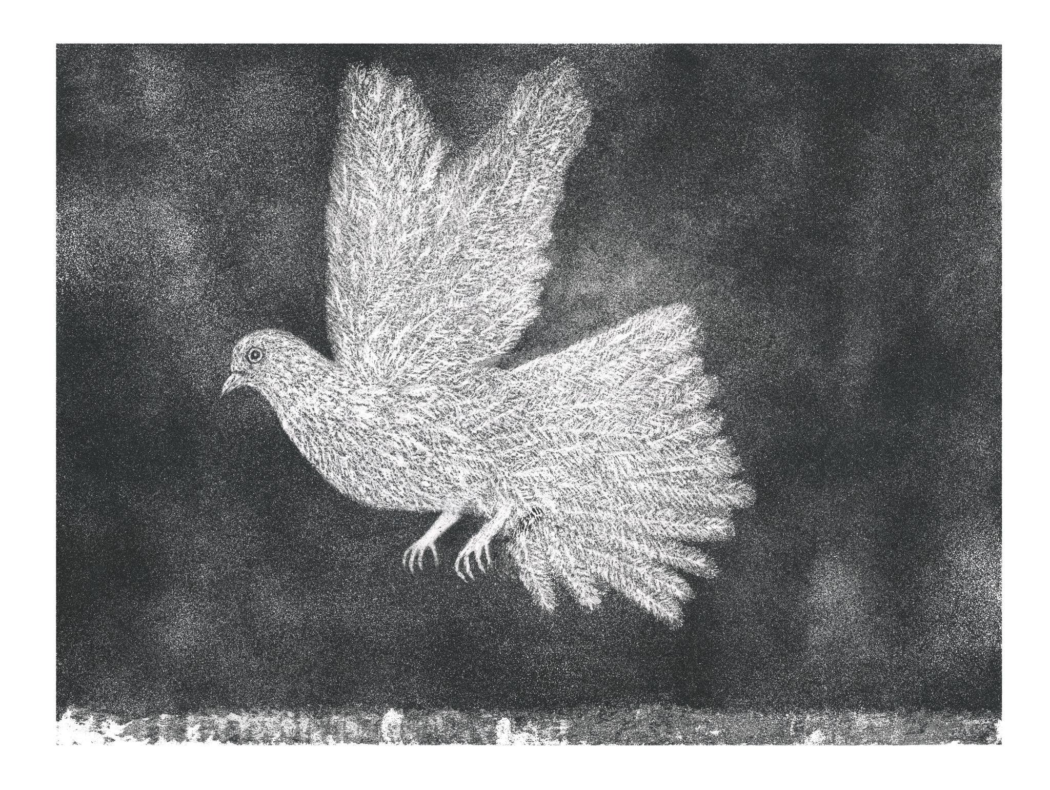 Opening Reception: Kiki Smith's Visiting
