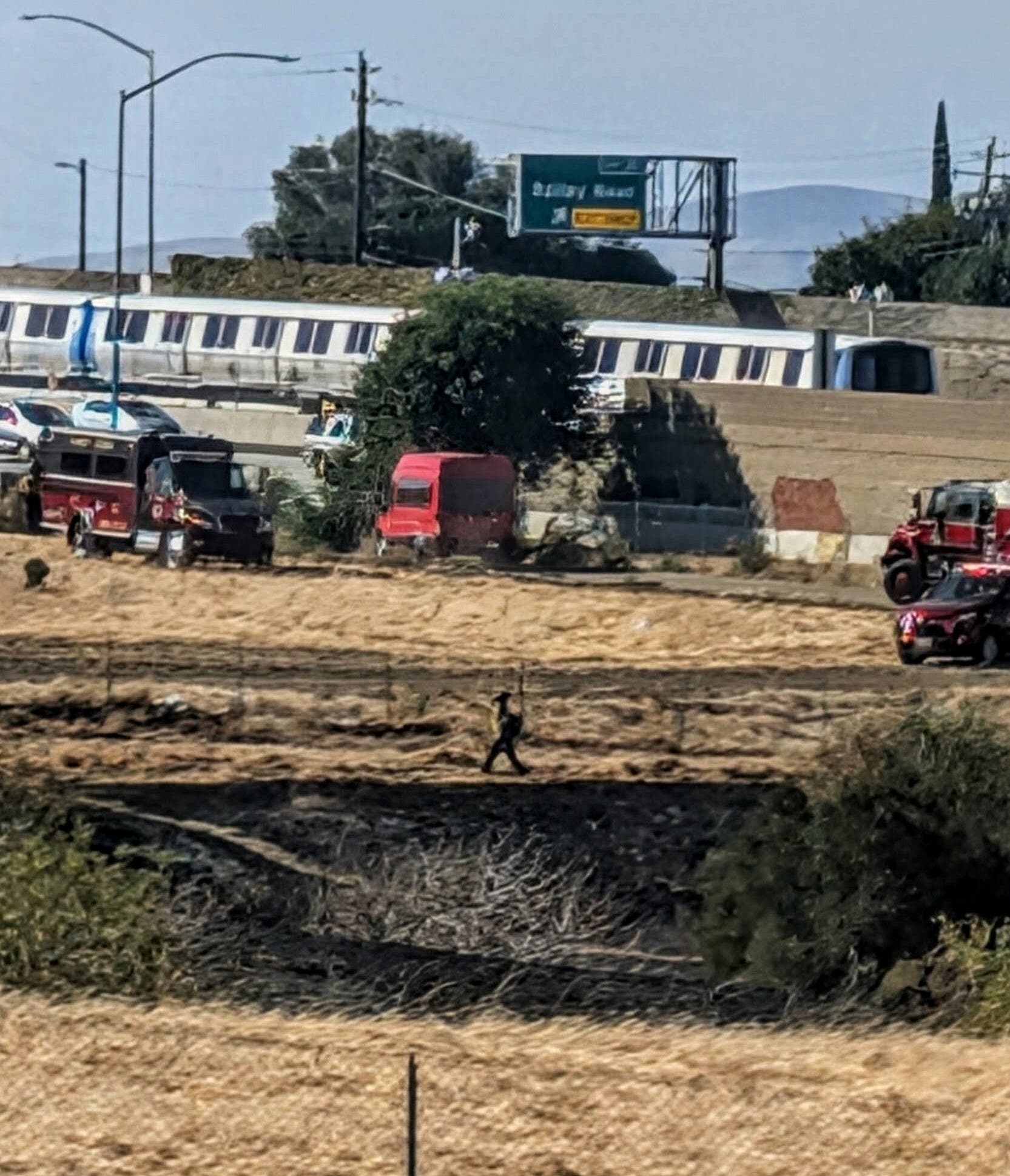 Ambrose Fire 