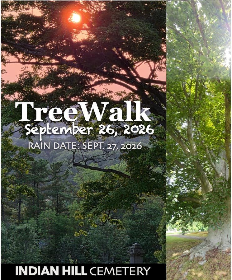 Tree Identification Walk wth Arborist John Kehoe