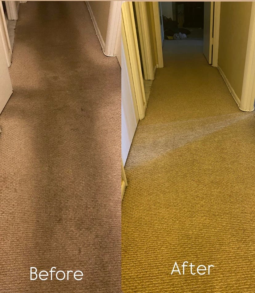 Deep Carpet Cleaning with Free Deodorize