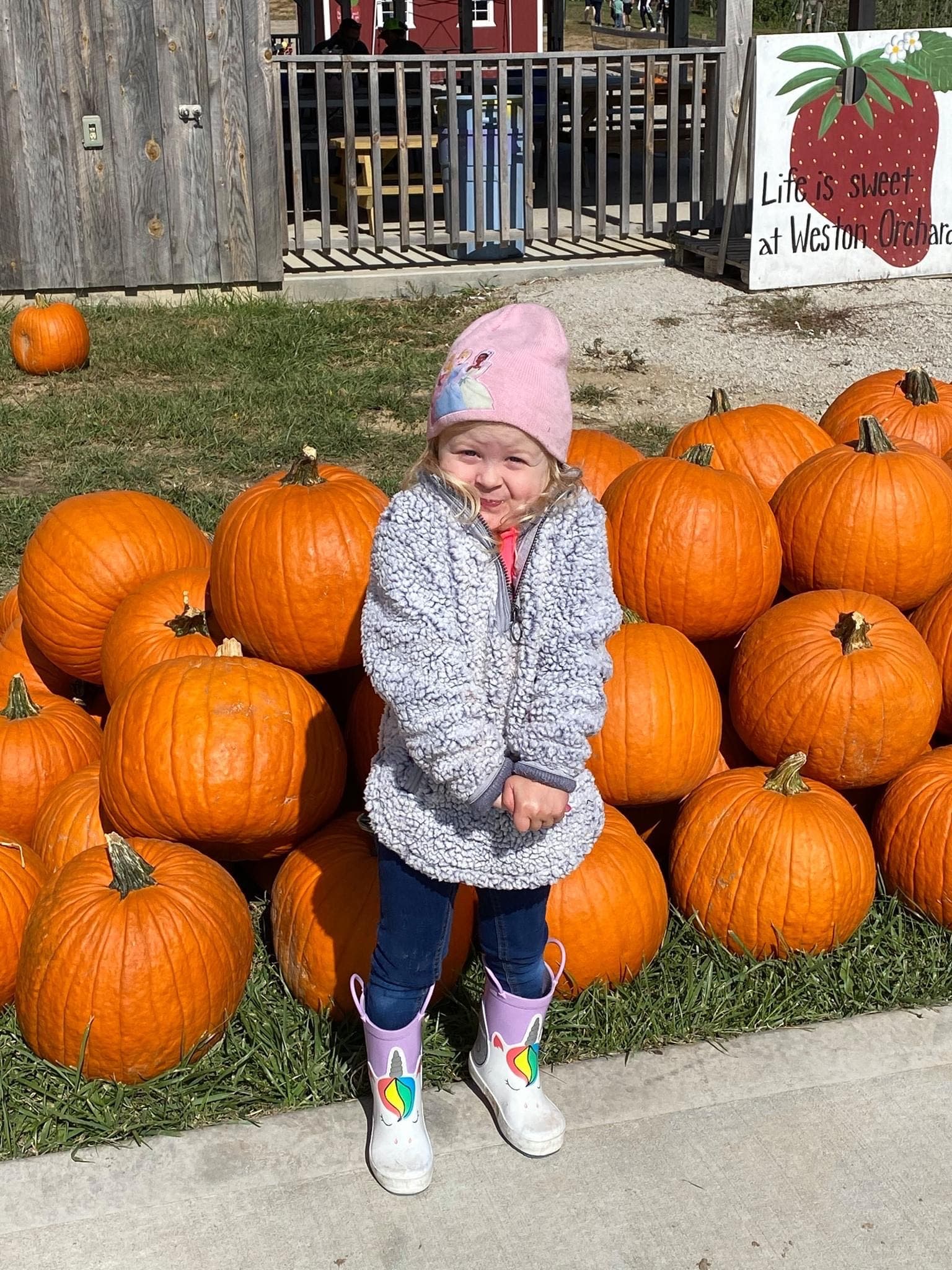 Pumpkin Picking: Historic Weston Orchard's Pick-Your-Own Patch, Open Daily