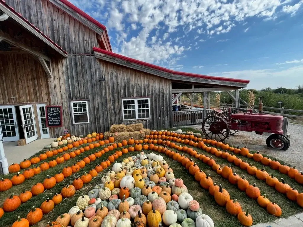 Things to Do With Kids Near Kansas City: Farm Play Zones, Corn Maze and Petting Zoo