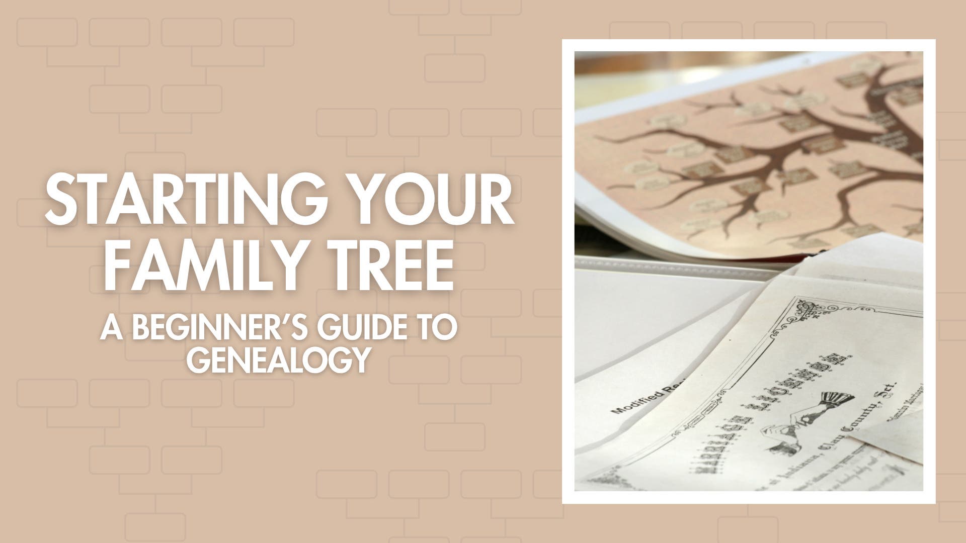 Starting Your Family Tree: A Beginner's Guide to Genealogy