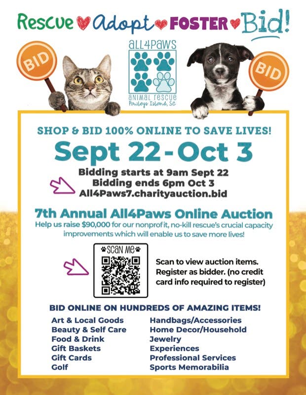 7th Annual All4Paws Online Auction