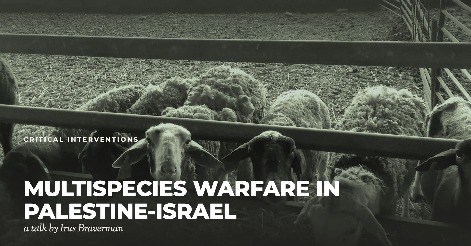Multispecies Warfare in Palestine-Israel: A talk by Irus Braverman