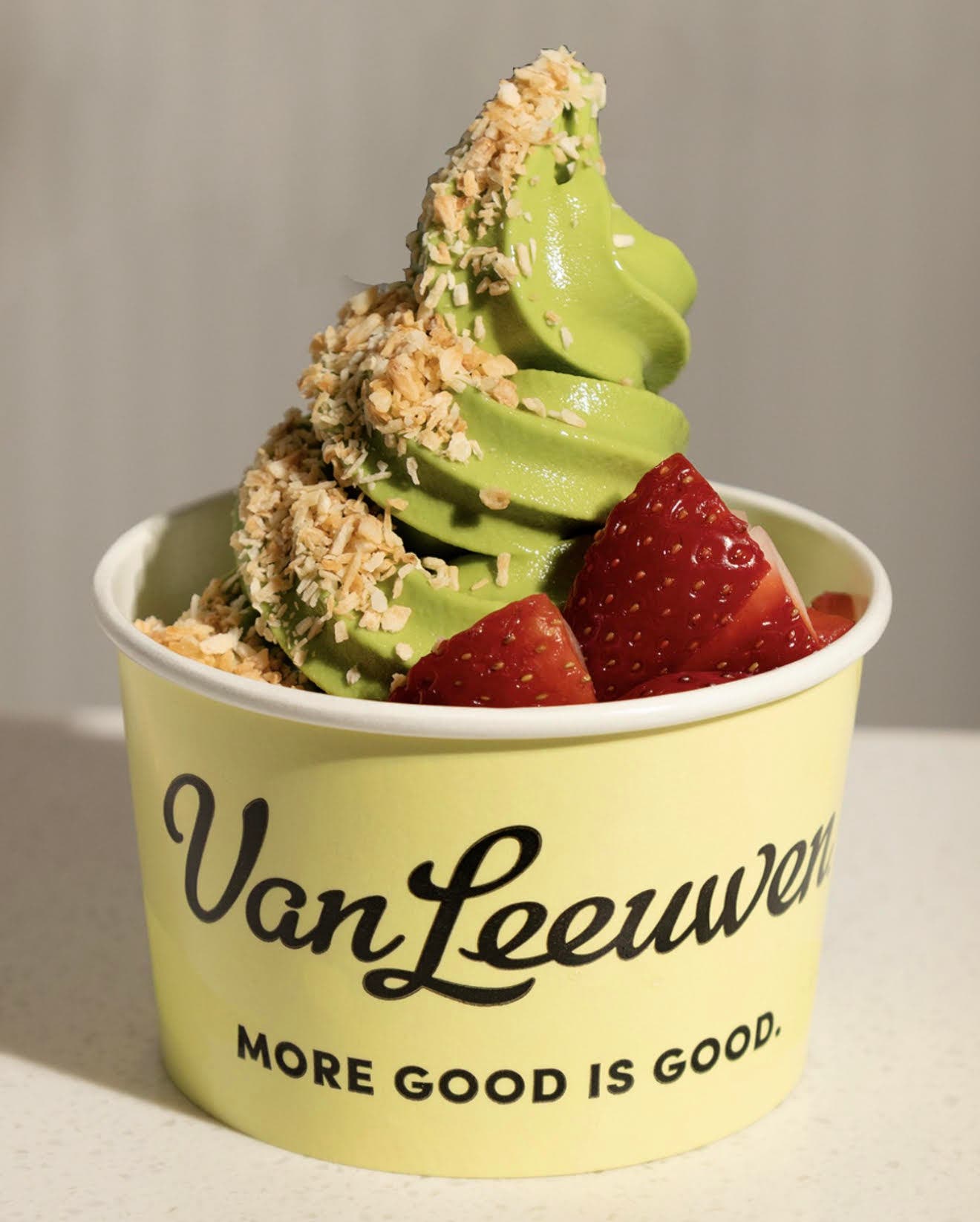 Van Leeuwen $1 FRO-YO Day at The Street Chestnut Hill
