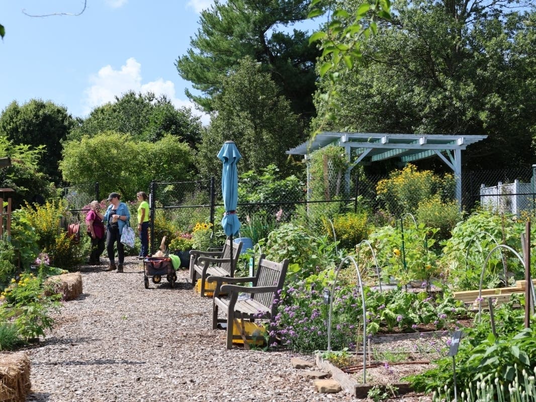 Volunteers at the Demonstration Gardens at Ida Lee Park