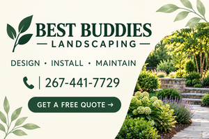 Best Buddies Landscaping