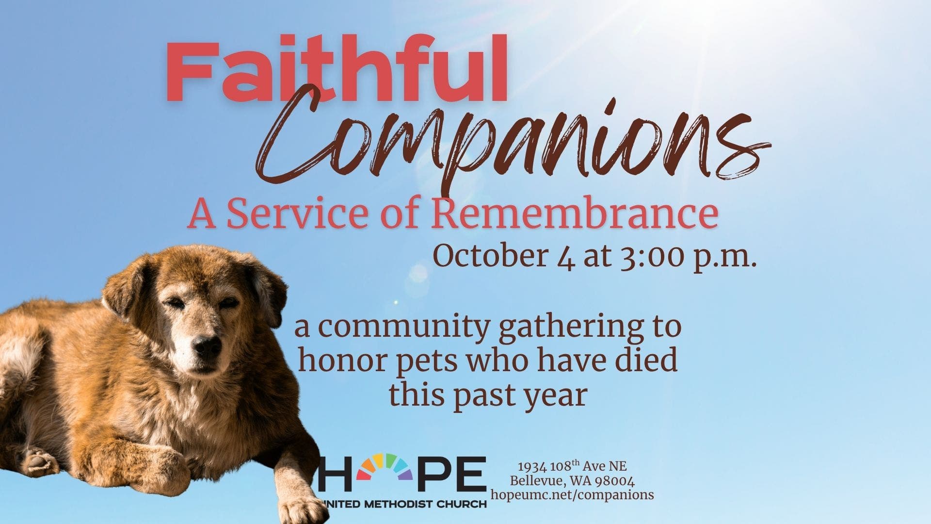 Faithful Companions: A Service of Remembrance