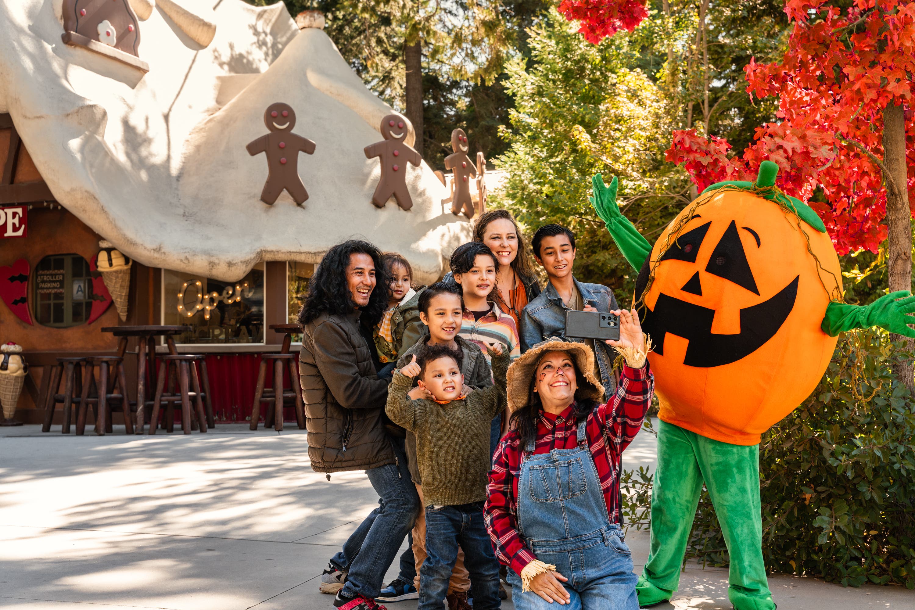 Pumpkins in the Pines