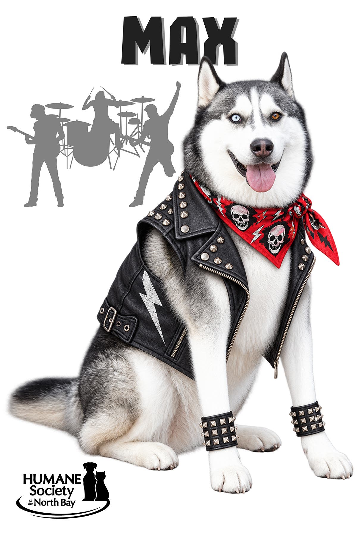 Don't Stop Believin' - '80s Gala for Dogs and Cats!
