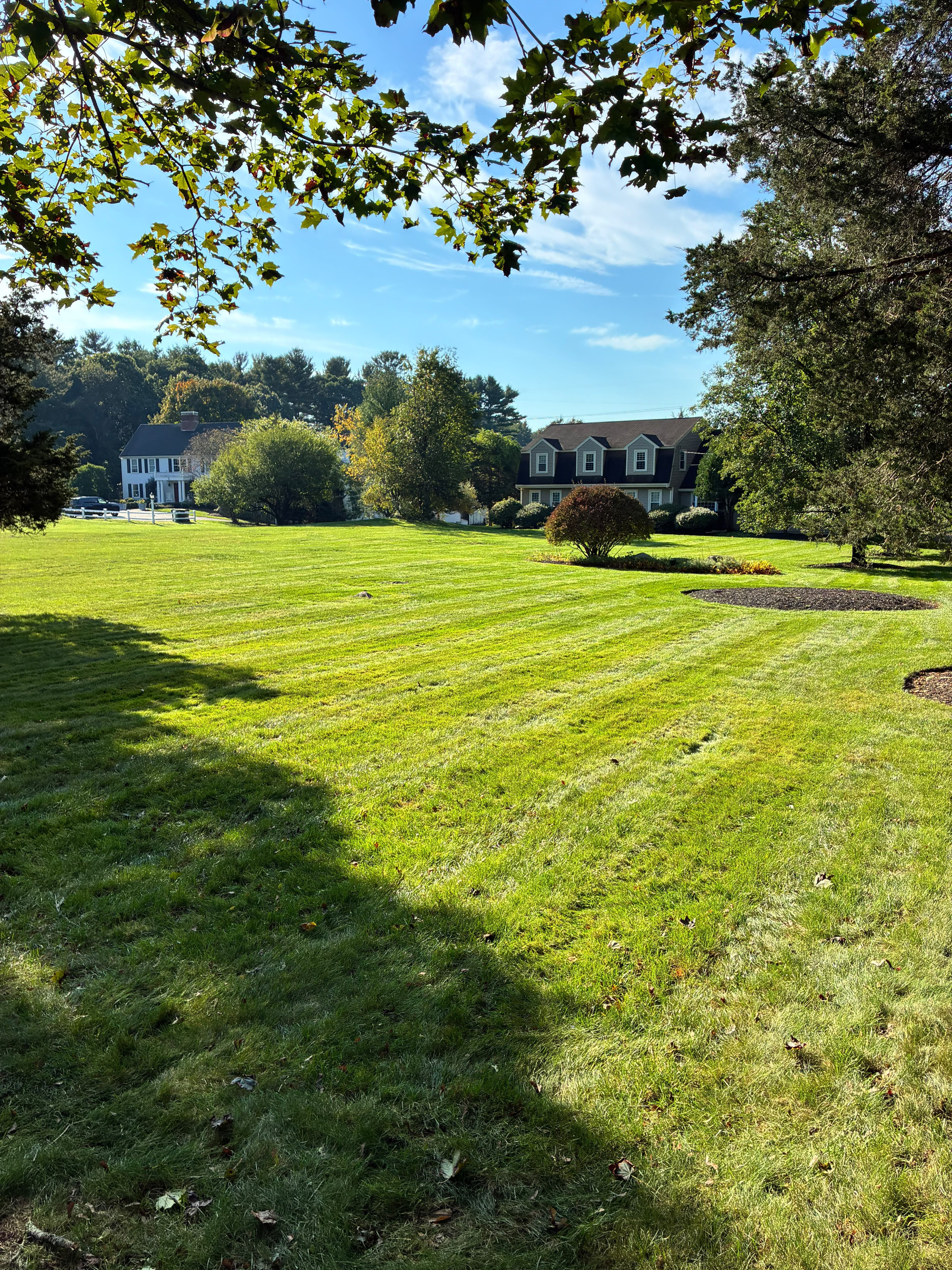 Landscaper - Fall Clean Up