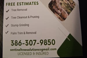 Sentinel Tree Solutions