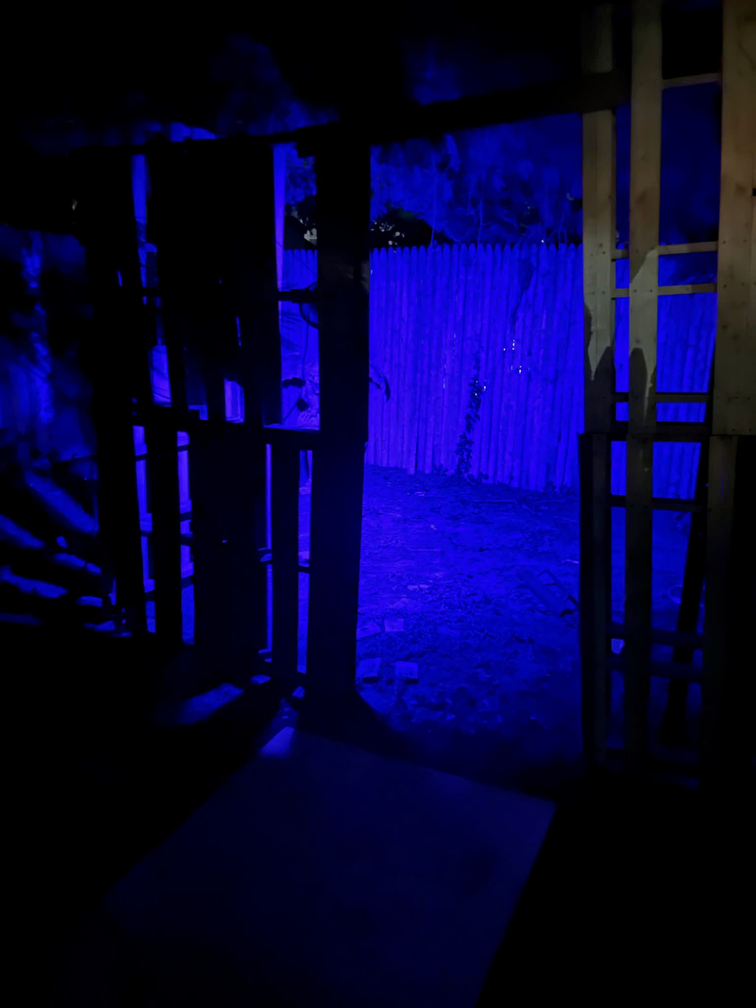 Babayaga’s Trail of Terror is opening for its 7th season with The Smile Factory.