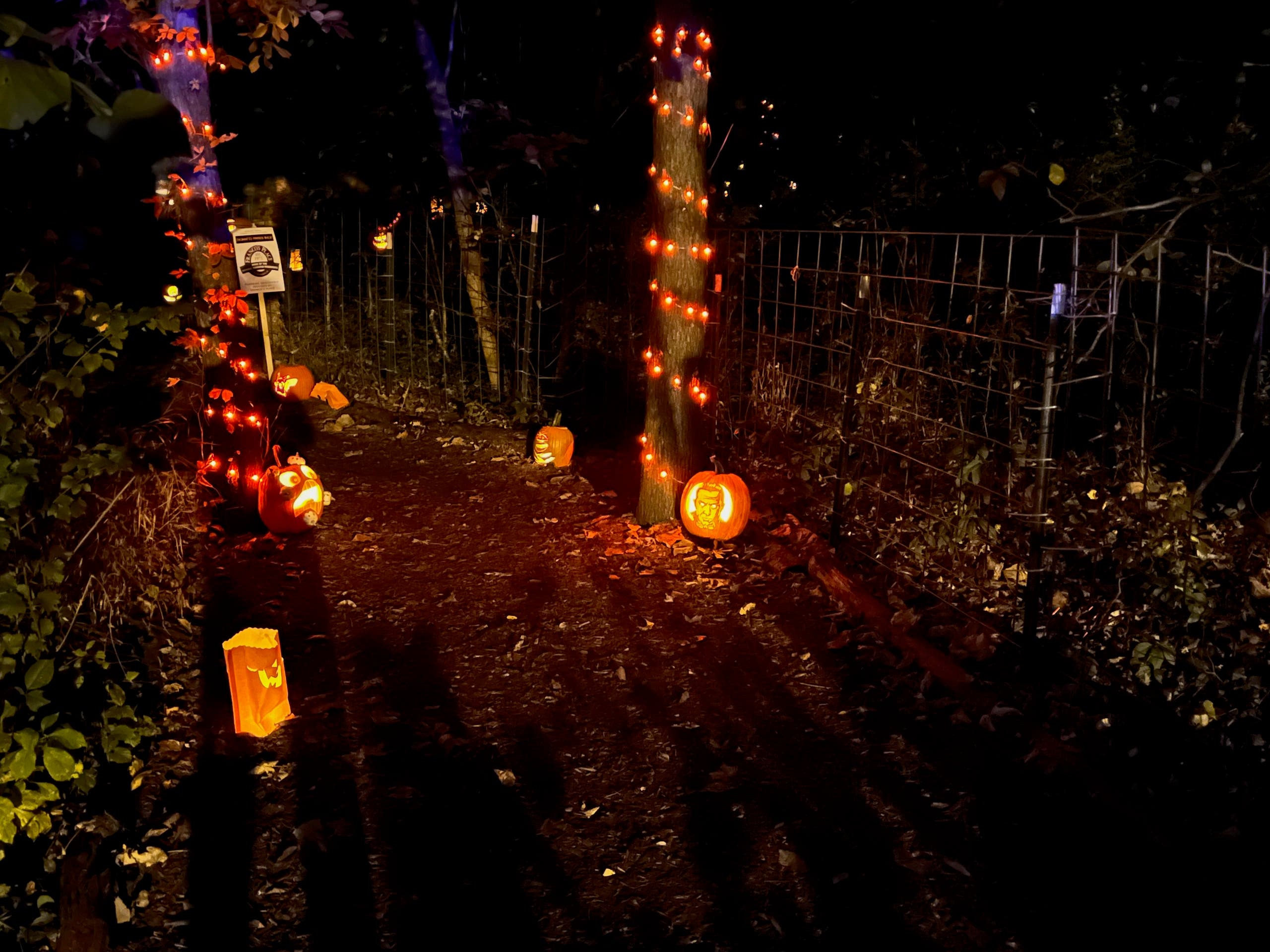Saddler's Woods Enchanted Pumpkin Walk Fundraiser...with Goats!