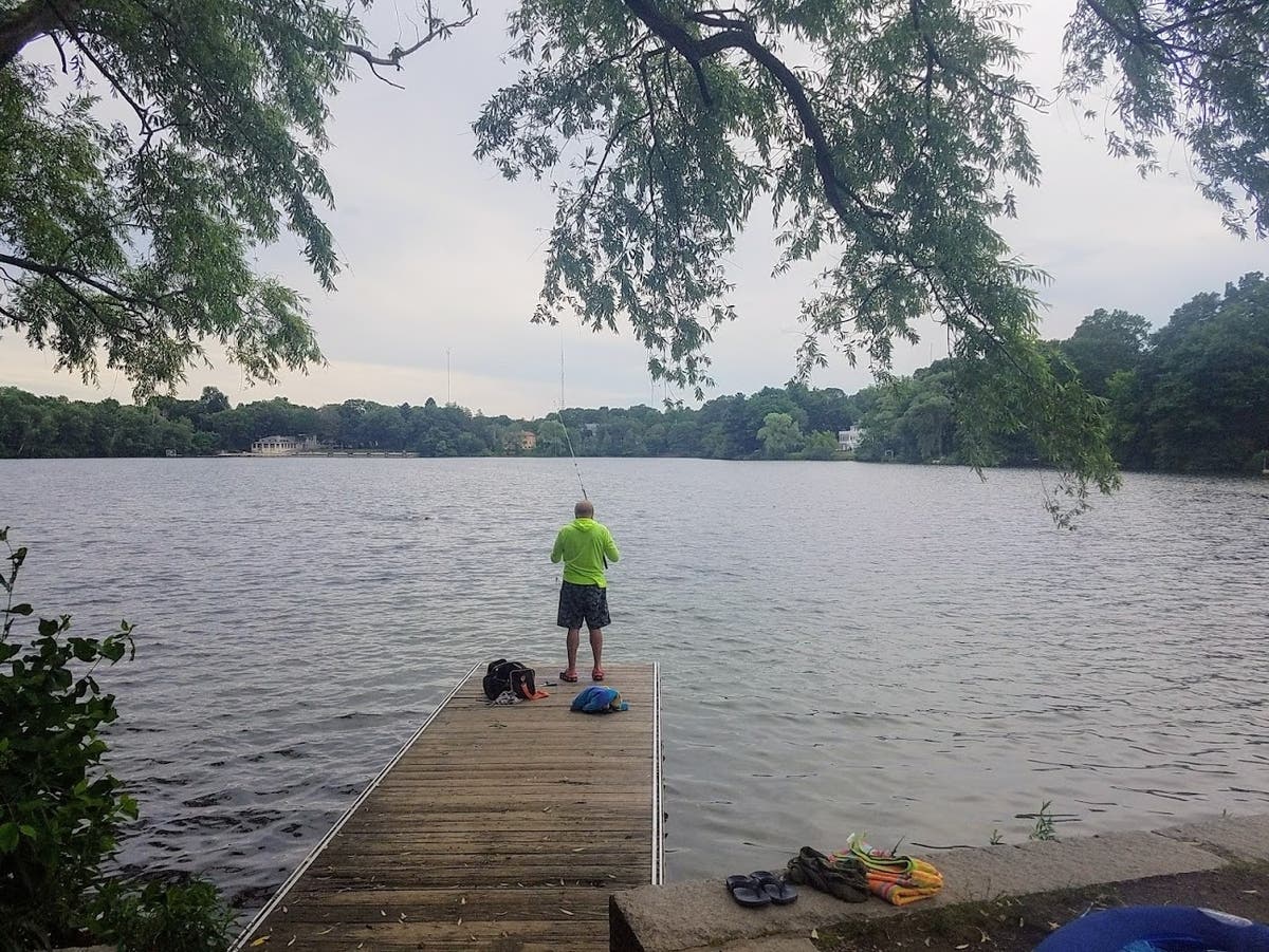 Newton To Celebrate New “Life Below” Murals At Crystal Lake Bathhouse