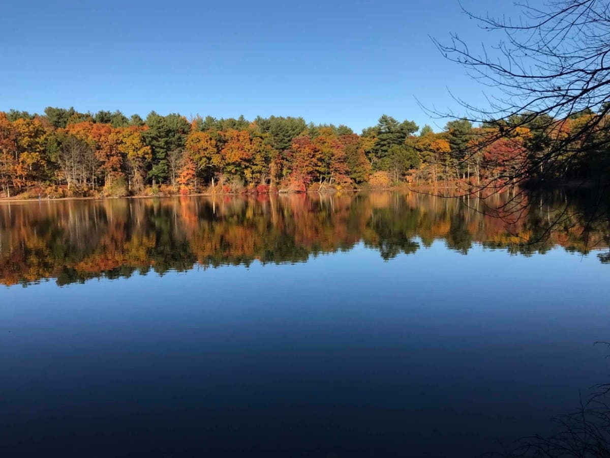 Photographers of all ages can enter the annual contest celebrating the wildlife, landscapes and people of Blue Hills.