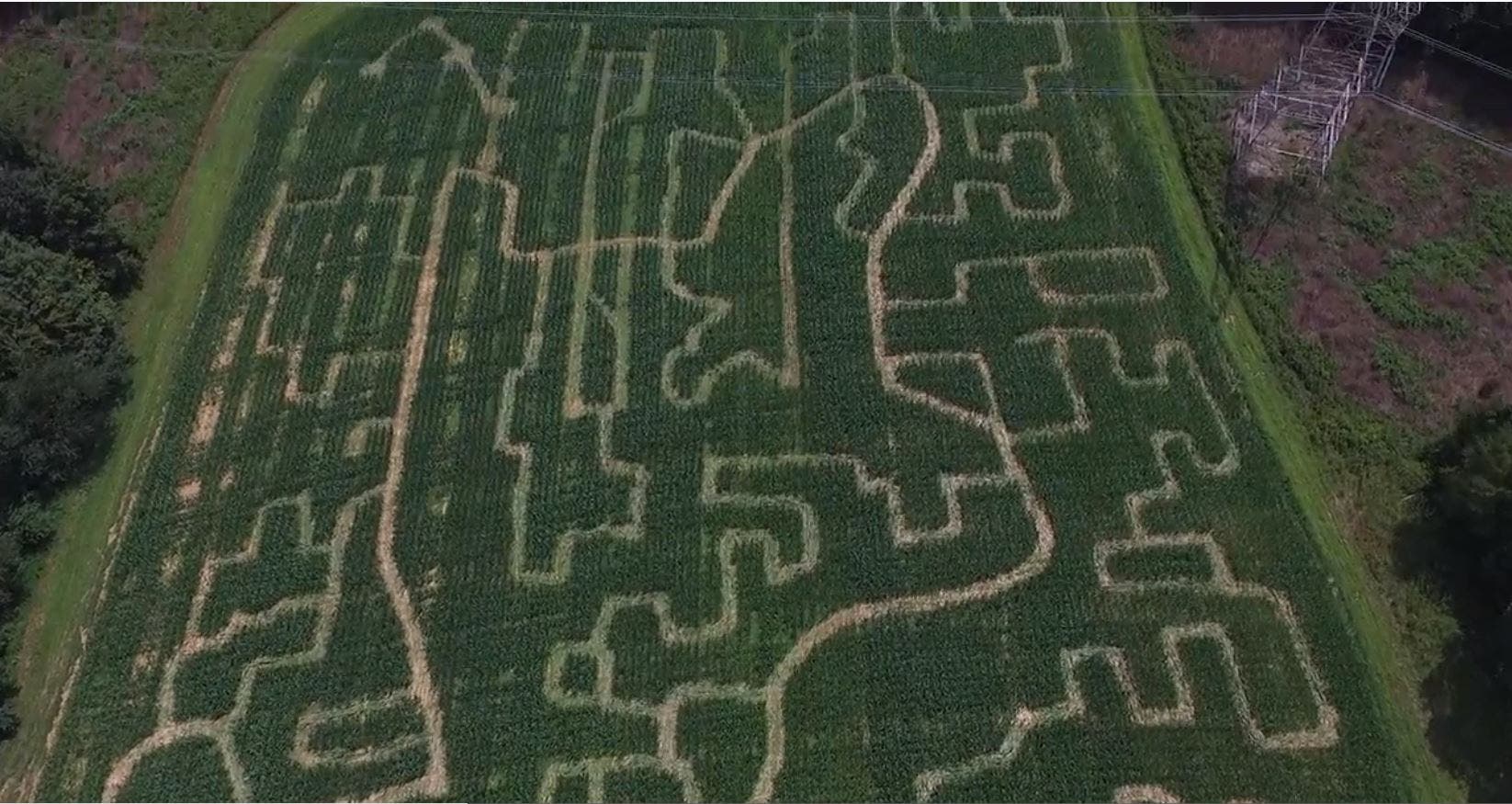 Corn Maze, Hayride and Pumpkin Patch at Shuckle's