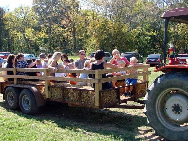 Three Weekends Left: Corn Maze, Hayride and Pumpkin Patch 30 Minutes North of Nashville