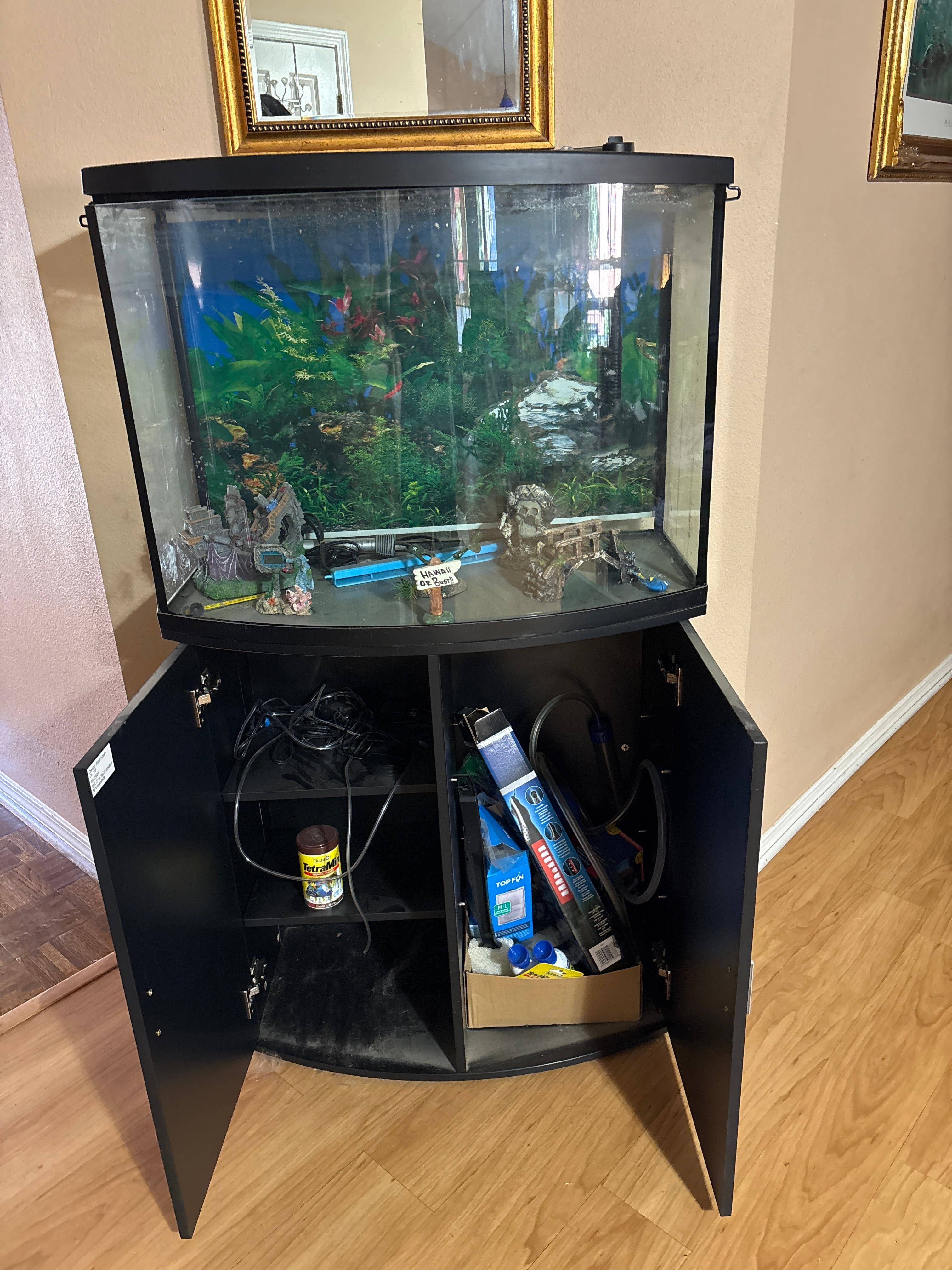 36 Gallon Aquarium with Rounded Front
