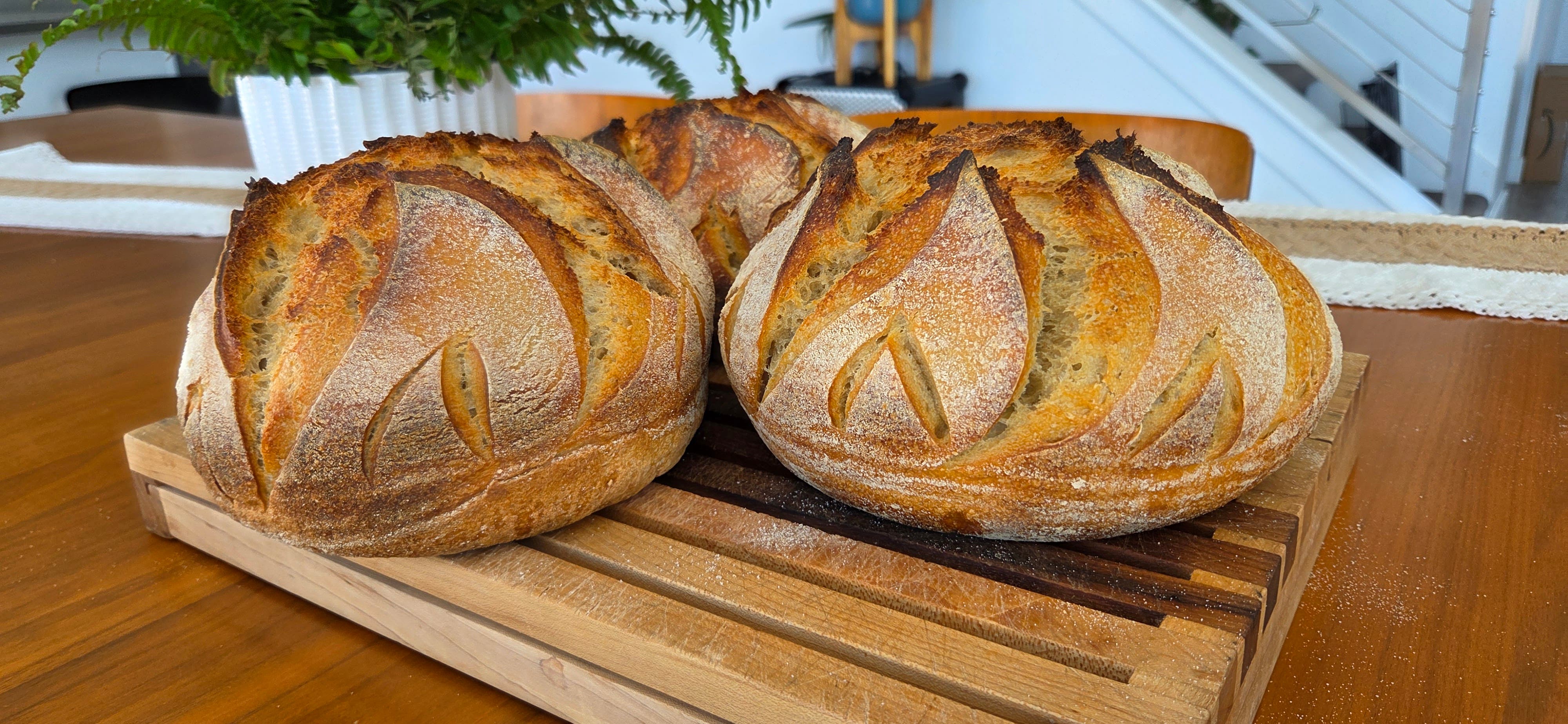 Thanksgiving Sourdough Class at Athena VII