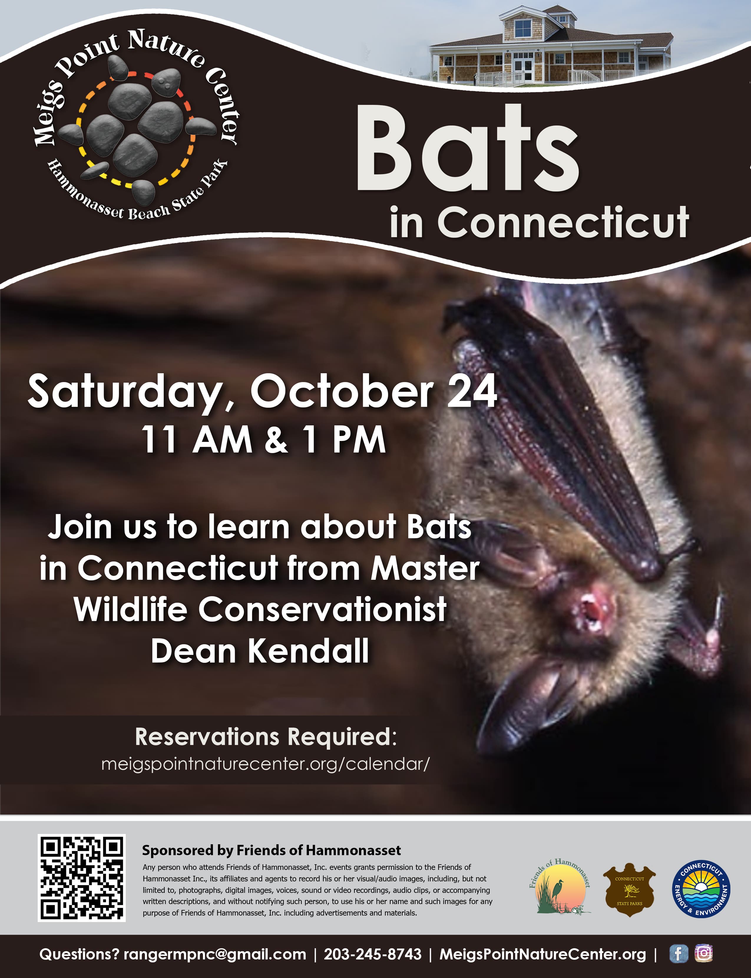 Bats In Connecticut