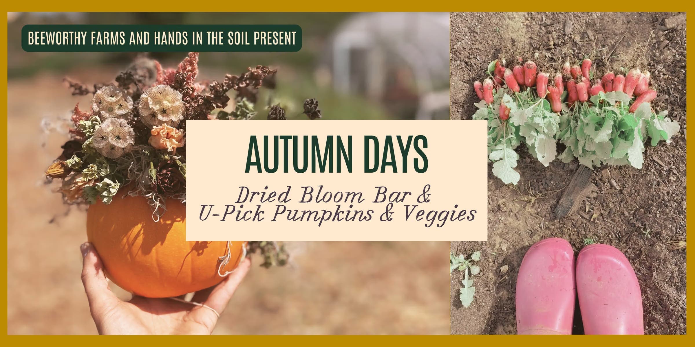 Autumn Days: Dried Flowers, U-Pick Pumpkins & Veggies!